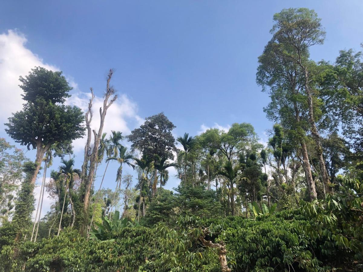 Kamoga Homestay فيراجبيت المظهر الخارجي الصورة
